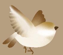 DƬ